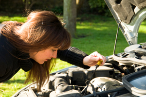 A good oil changer provides oil change, fluid flush and engine lubrication services.