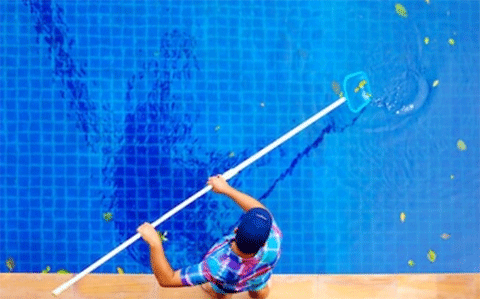 local pool cleaning services