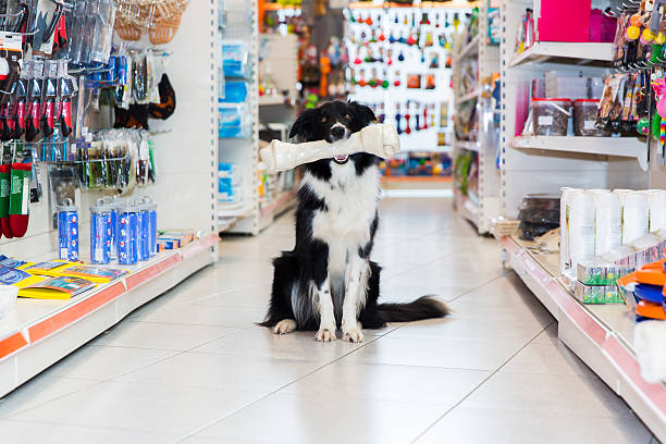 The TOP 10 Pet Supply Stores in San Mateo County CA