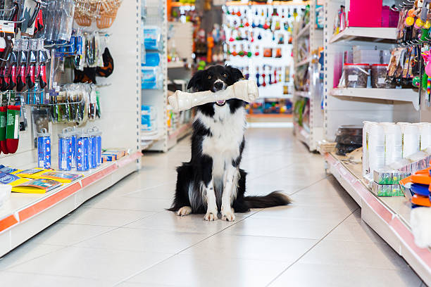 A dog shows off the bone he found while shopping with his owner at a local pet supply store.